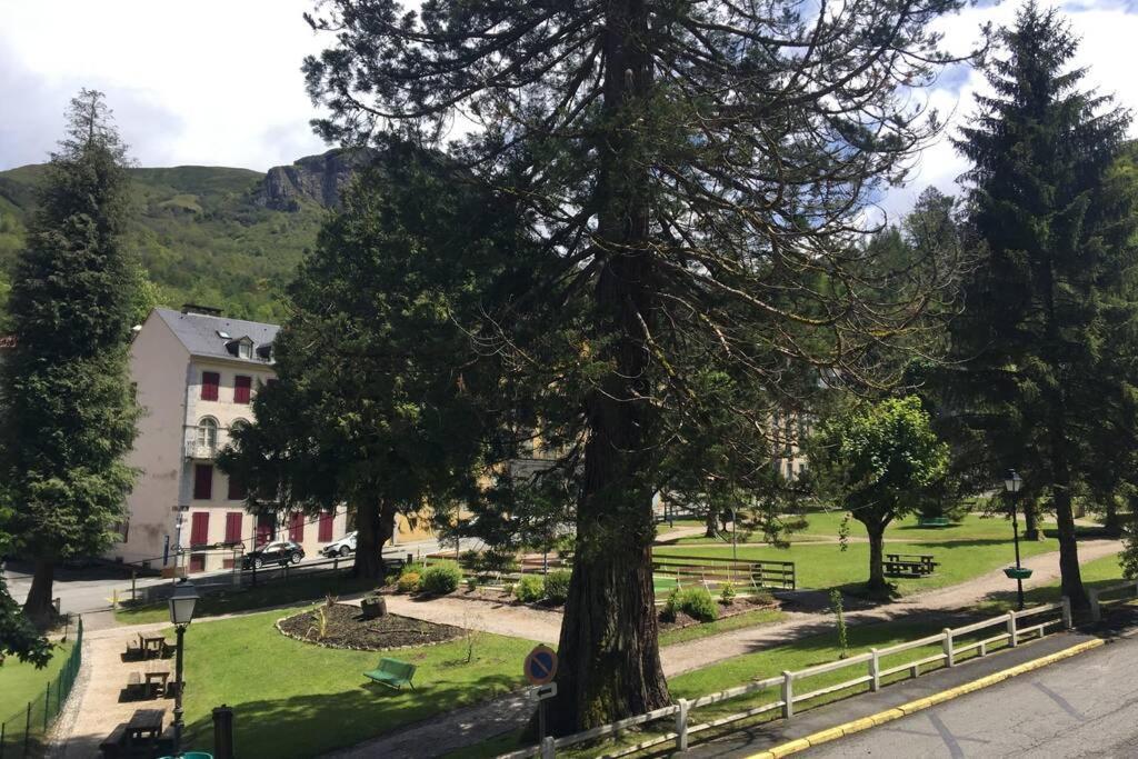 Cocon De La Vallee D'Ossau , Veritable Havre De Paix - 4 A 6 Pers Eaux-Bonnes Zewnętrze zdjęcie